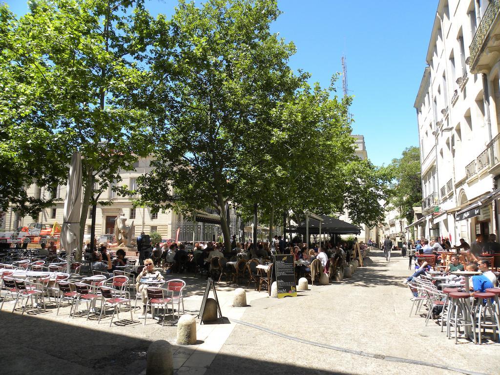 Апартаменты La Terrasse Du Marche Aux Fleurs Монпелье Экстерьер фото